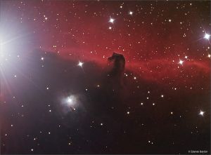 The Horse nebula