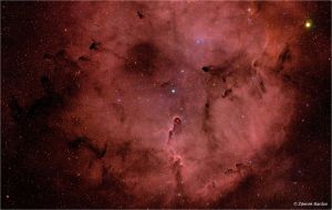 The Elephant's Trunk nebula