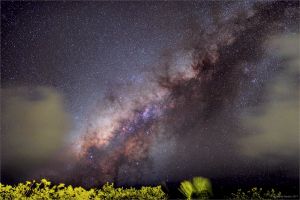 Milky Way above forest, Nikon D810A, Zeiss Otus 28/1,4
