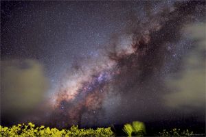 Mléčná dráha nad džuglí, Nikon D810A, Zeiss Otus 28/1,4