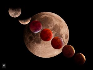 Total Lunar Eclipse 2019